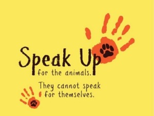 speak_up_for_animals